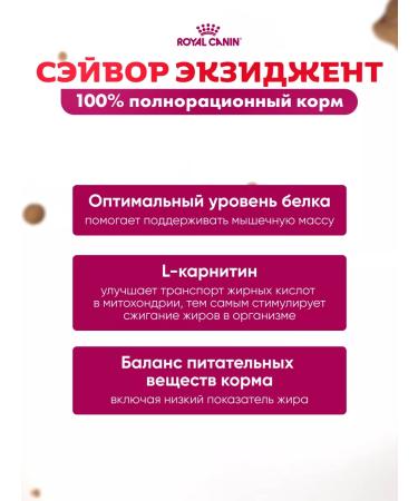 ROYAL CANIN Dry food for cats Savour picky to taste 2 kg - Buy Online on GoSupps.com