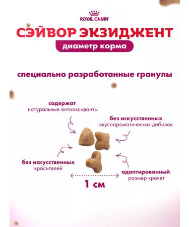 ROYAL CANIN Dry food for cats Savour picky to taste 2 kg - Buy Online on GoSupps.com