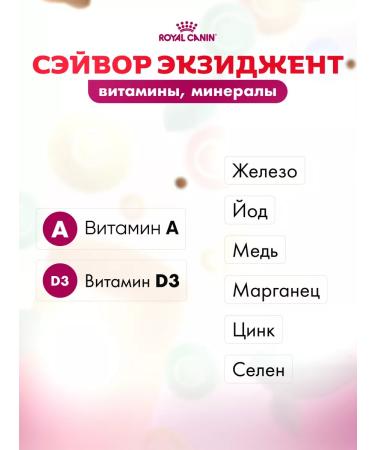 ROYAL CANIN Dry food for cats Savour picky to taste 2 kg - Buy Online on GoSupps.com