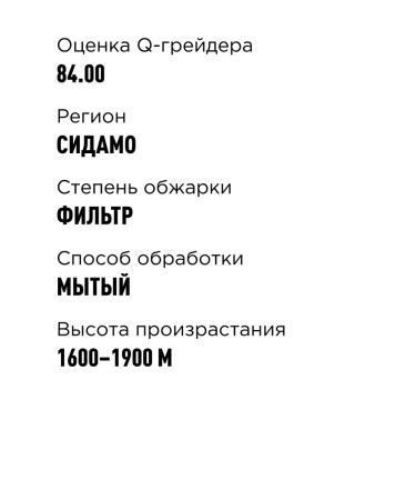 TASTY COFFEE Drip coffee Ethiopia Sidamo 10 pcs. 11.5 g - Buy Online on GoSupps.com