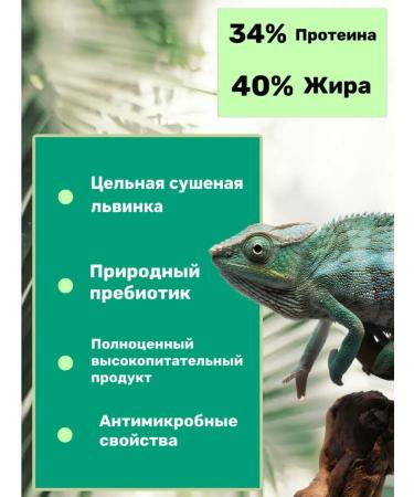 Farmyard Black lioness Feed a treat for animal rats and hamsters - Buy Online on GoSupps.com