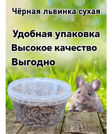 Farmyard Black lioness Feed a treat for animal rats and hamsters - Buy Online on GoSupps.com