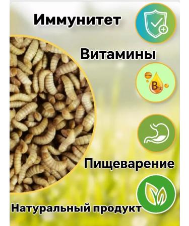 Farmyard Black Lion Carnet for hamsters and rats - Buy Online on GoSupps.com