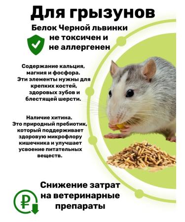 Farmyard Black Lion Carnet for hamsters and rats - Buy Online on GoSupps.com