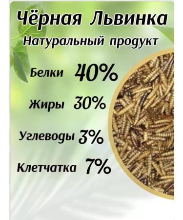 Farmyard Black Lion Carnet for hamsters and rats - Buy Online on GoSupps.com