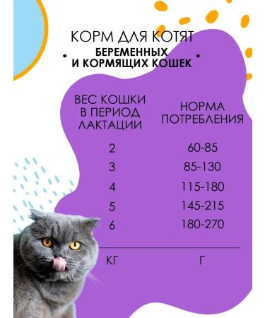 BLITZ Dry food for kittens and pregnant cats Sensitive 400 g - Buy Online on GoSupps.com