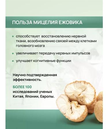 Crane pine and sun Natural nootropic with the mycelium of the hedgehog 2 - Buy Online on GoSupps.com