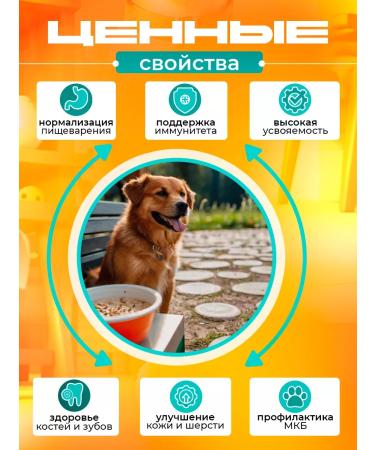 Multicarp porridge for dogs with halfbo - Buy Online on GoSupps.com