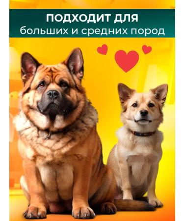 Multicarp porridge for dogs with halfbo - Buy Online on GoSupps.com