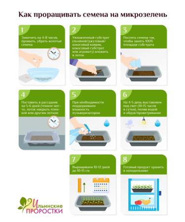 Microzelenru Prooppsy seeds of microwave 500g - Buy Online on GoSupps.com