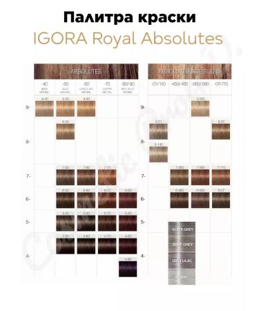 Schwarzkopf Professional Igora Royal cream color ABSOLUTES 7-10 60 ml - Buy Online on GoSupps.com