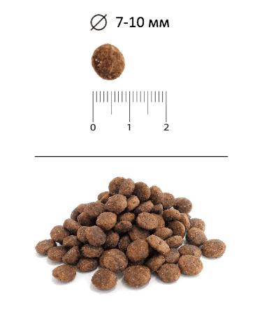 BLITZ Dry Classic food for sterilized cats chicken 2 kg 2pcs - Buy Online on GoSupps.com