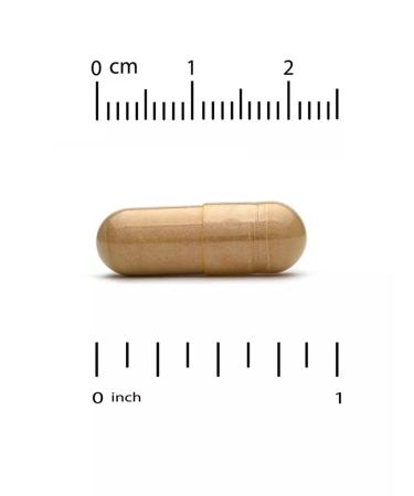 California Gold Nutrition choleretic collection of dietary supplement for the liver and pancreas - Buy Online on GoSupps.com