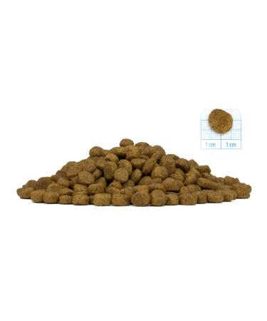 Forza10 Dog food dry diet hypoallergenic venison 1.5 kg 2pcs - Buy Online on GoSupps.com