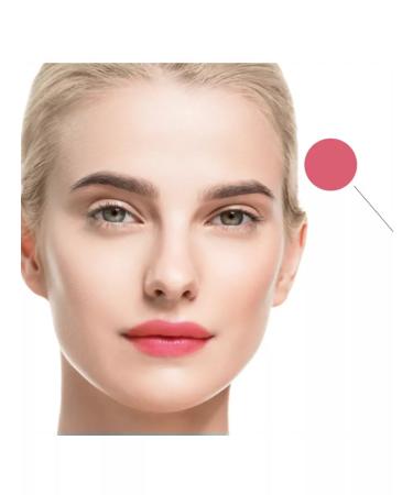 Face Company Face is a blush pigment for permanent lip makeup - Buy Online on GoSupps.com