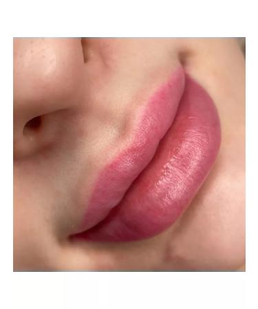 Face Company Face Tokyo Pigment for Permanent Makeup lips - Buy Online on GoSupps.com