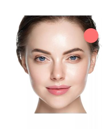 Face Company Face Shcherbet pigment for permanent lip makeup - Buy Online on GoSupps.com