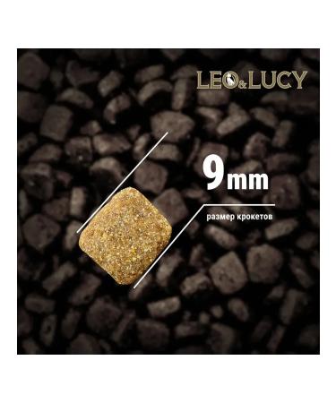 LEO&LUCY Dry Holistic food for sterilized cats meat 0.4 kg 4pcs - Buy Online on GoSupps.com