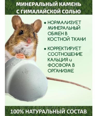 Triol Mineral stone for hamsters 35 g - Buy Online on GoSupps.com