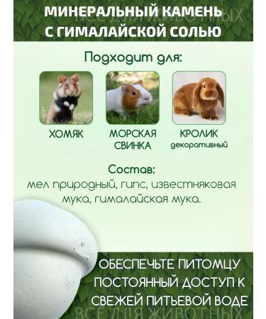 Triol Mineral stone for hamsters 35 g - Buy Online on GoSupps.com