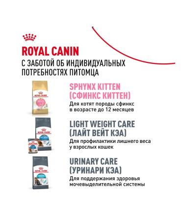 ROYAL CANIN Feed Royal Kanin Sphinx Edalta 10 kg - Buy Online on GoSupps.com