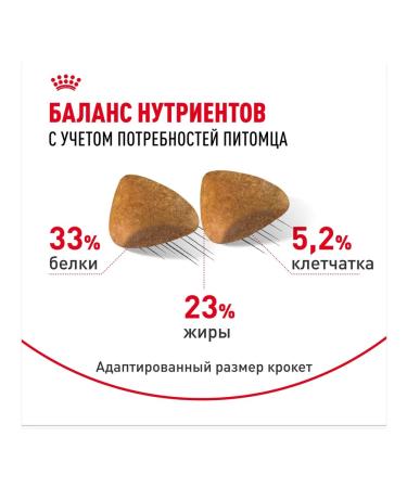 ROYAL CANIN Feed Royal Kanin Sphinx Edalta 10 kg - Buy Online on GoSupps.com
