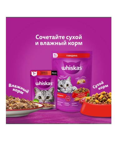 Whiskas Dry whiskey feed taste chicken for sterilized 5kg - Buy Online on GoSupps.com