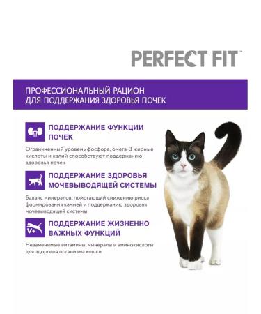 Feed perfect fit taste salmon 0.65 kg - Buy Online on GoSupps.com