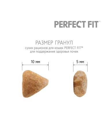 Feed perfect fit taste salmon 0.65 kg - Buy Online on GoSupps.com