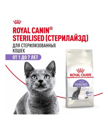 ROYAL CANIN Feed Royal Kanin Sterilizhe 37 10 kg - Buy Online on GoSupps.com