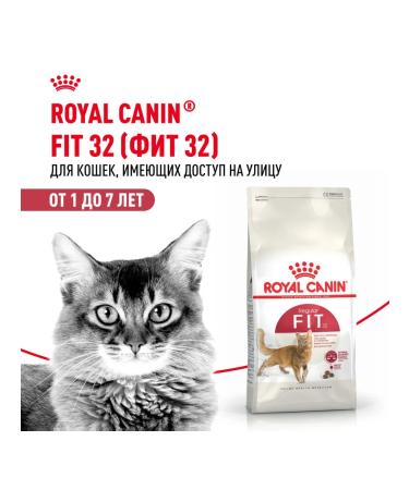 ROYAL CANIN Feed FIT FIT 32 4 kg