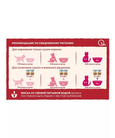 NATURE'S TABLE Netorez Tube Feed for cats turkey 1.1 kg - Buy Online on GoSupps.com