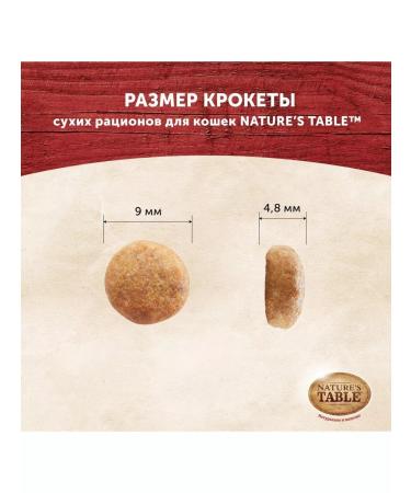 NATURE'S TABLE Netorez Tube Feed for cats turkey 1.1 kg - Buy Online on GoSupps.com