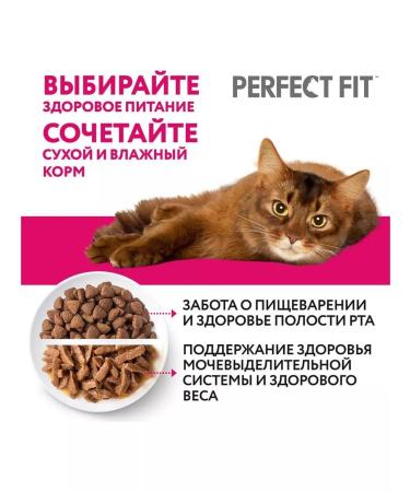 Feed perfect fit tastes turkey 0.65 kg - Buy Online on GoSupps.com