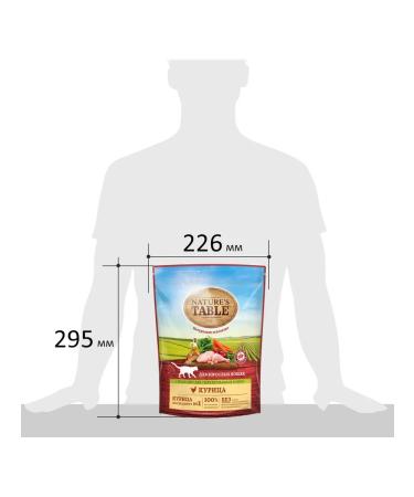 NATURE'S TABLE Dry food for cats chicken 0.65 kg 4 pcs - Buy Online on GoSupps.com