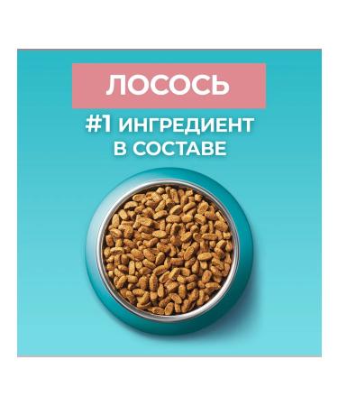 PURINA ONE Feed of dry sterilized cats salmon wheat wheat 0.2 kg 2 pcs - Buy Online on GoSupps.com