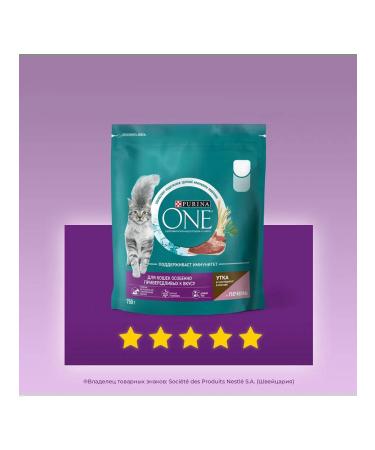 PURINA ONE Dry food for fastidious cats duck liver 0.75 kg 2 pcs - Buy Online on GoSupps.com
