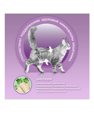 PURINA ONE Dry food for fastidious cats duck liver 0.75 kg 2 pcs - Buy Online on GoSupps.com
