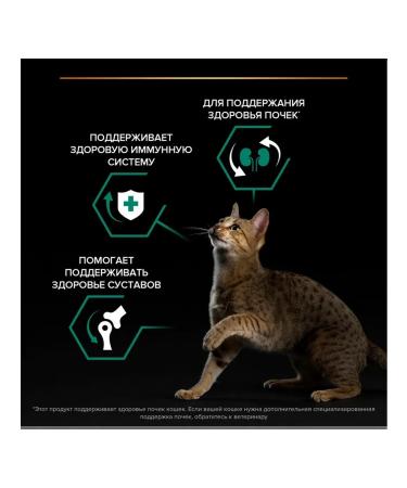 PRO PLAN Dry food for cats chicken 1.5 kg 2 pcs - Buy Online on GoSupps.com