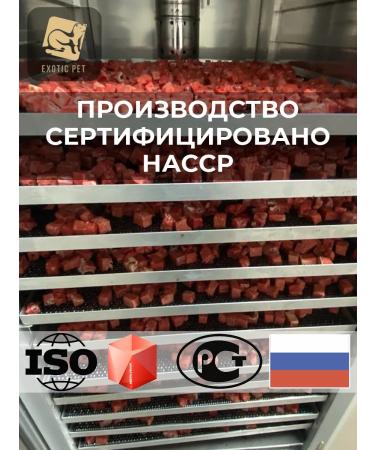 Exotic Pet A treat for dogs - light beef in cubes 100 grams - Buy Online on GoSupps.com