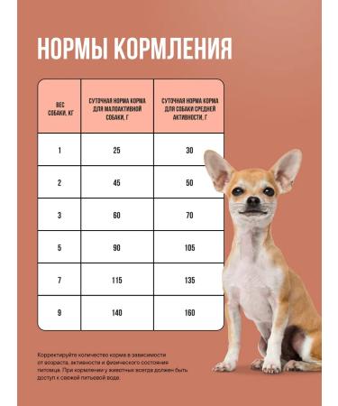 BOWL WOW Dog food dry for small breeds 2kg - Buy Online on GoSupps.com