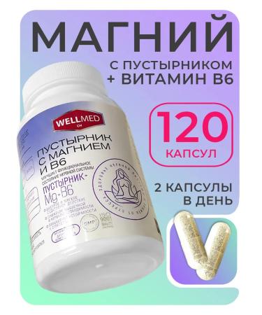 WELLMED CH Magnesium B6 with a motherwort for adults No. 120 dietary supplement from stress