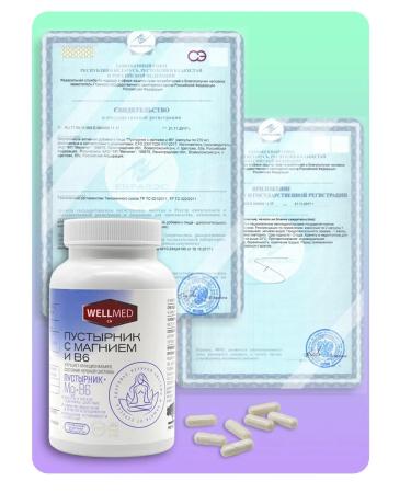 WELLMED CH Magnesium B6 with a motherwort for adults No. 120 dietary supplement from stress - Buy Online on GoSupps.com