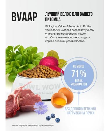 BOWL WOW Dry food for large breeds 2kg - Buy Online on GoSupps.com