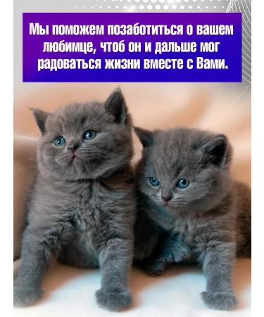 WillProf Gelatin capsules small size #3 - Buy Online on GoSupps.com