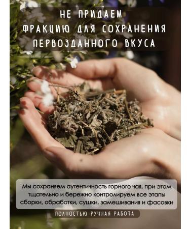 NOT TEA Dombuisky craft tea based on herbal gathering - Buy Online on GoSupps.com