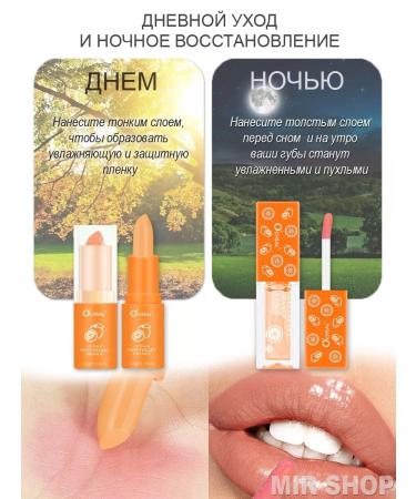 OCHEAL Lipstick balm + shine - Buy Online on GoSupps.com