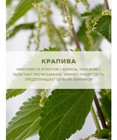 LeNel' made in Siberia Set of unfortunate hair shampoos 600 ml - Buy Online on GoSupps.com