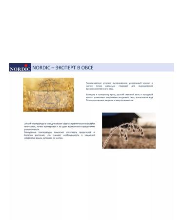 Nordic Whole -grain oatmeal 6pcs of 500g - Buy Online on GoSupps.com