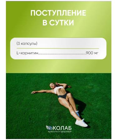 ECOlab L-carnitine - Buy Online on GoSupps.com